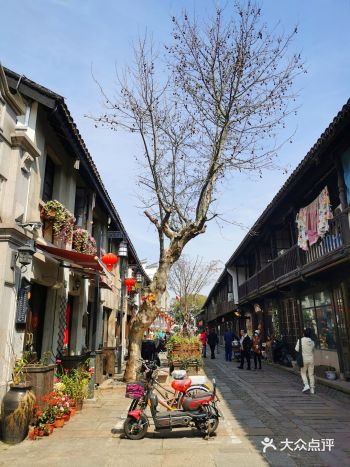 一直都知道川沙有个古镇，相比魔都其他古镇，这里算是游
