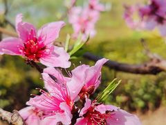 -新虹桥中心花园