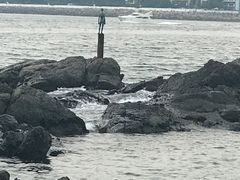 -广安大桥