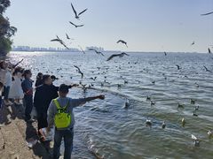-滇池海埂公园