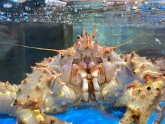 -大润发(姑嫂树店)