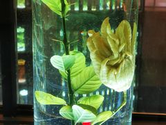 -广东中医药博物馆