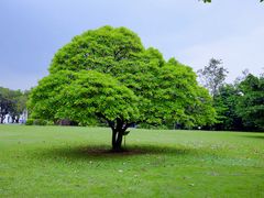 -华南国家植物园-售票处
