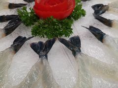 -寻味顺德·南记酒家·传统顺德菜·鱼生(广源路店)