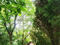 -大连植物园