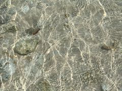 -蜈支洲岛珊瑚酒店临海阁中餐厅