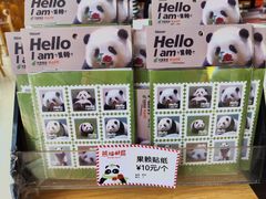 -熊猫邮局(少城店)