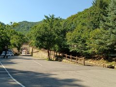 -本溪汤沟绿石谷森林公园