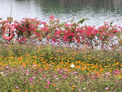 -海珠湖公园