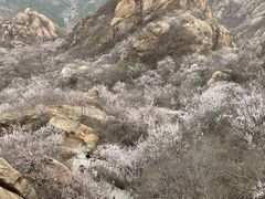 -北京凤凰岭
