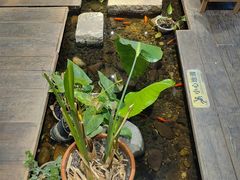 -邈墨茶馆(大兜路1号店)