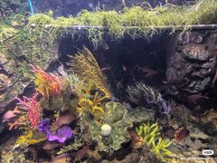 -太平洋海底世界