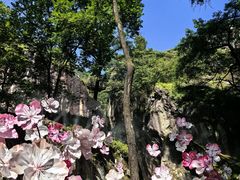 -秦岭终南山世界地质公园翠华山景区