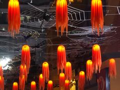 -老长沙龙虾馆·聚会餐厅(白石洲店)