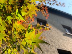 -星巴克臻选(思南公馆店)