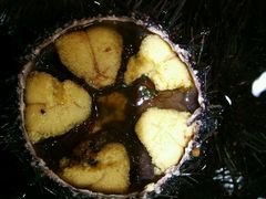 -老虎滩船说·海胆水饺·大连海鲜(老虎滩店)