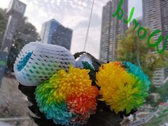 -循礼门鲜花花市(武汉循礼门店)