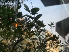 景观位-三花屋 Mihhanaya