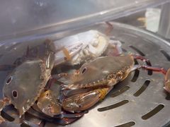 -山海•蒸汽活海鲜自助(皇庭广场店)