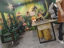 -神奇动物撸宠馆·羊驼·小浣熊·异宠(豫园店)