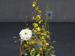 -花到家(富贵鸟花艺行)