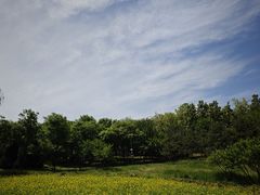 -北坞公园