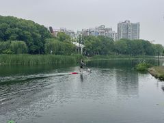 -新江湾城公园