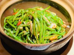 -馋嘴猫北京食堂·烤鸭·宵夜(亚运村店)