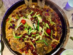 -老板恋上鱼(恒隆广场店)