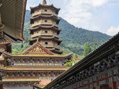 -天目山大树王景区