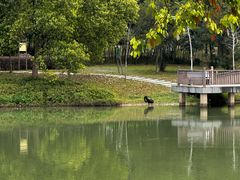 -福建鲤鱼洲酒店