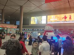 -哈尔滨太平国际机场-T2航站楼