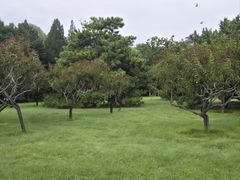 -莲花池公园