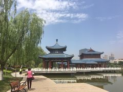 -雁滩公园