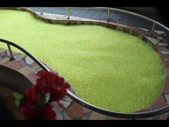 -兴芮温泉度假区