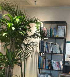 -芳香乐府疗愈空间·SPA·冥想