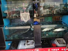 -全乐鱼馆·淳牌有机鱼直营店