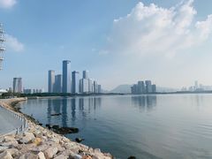 -宝安西湾红树林湿地公园