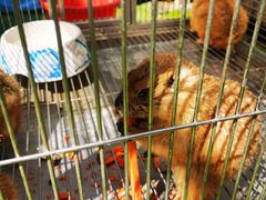 -南宫五洲植物乐园