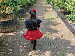 -前小桔亲子创意农场·草莓采摘·露营烧烤