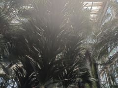 -石家庄市植物园