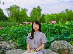 -太阳宫公园