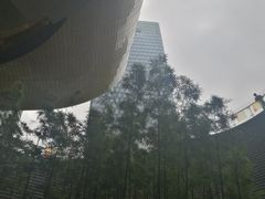 -上海中心大厦