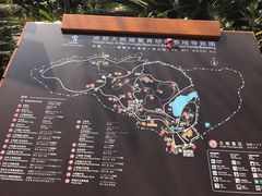 公告牌-成都大熊猫繁育研究基地