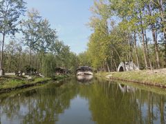 -合肥滨湖国家森林公园