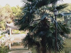 -叶家花园