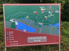 -华西村