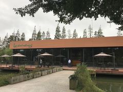 -上海长兴岛郊野公园