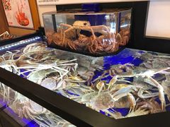 -蟹道乐(道顿堀本店)