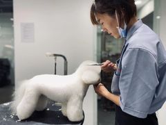 -宠物家(双井店)
